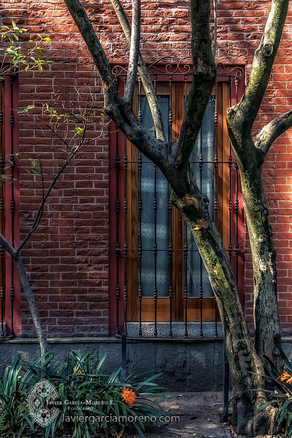 Estampas de México